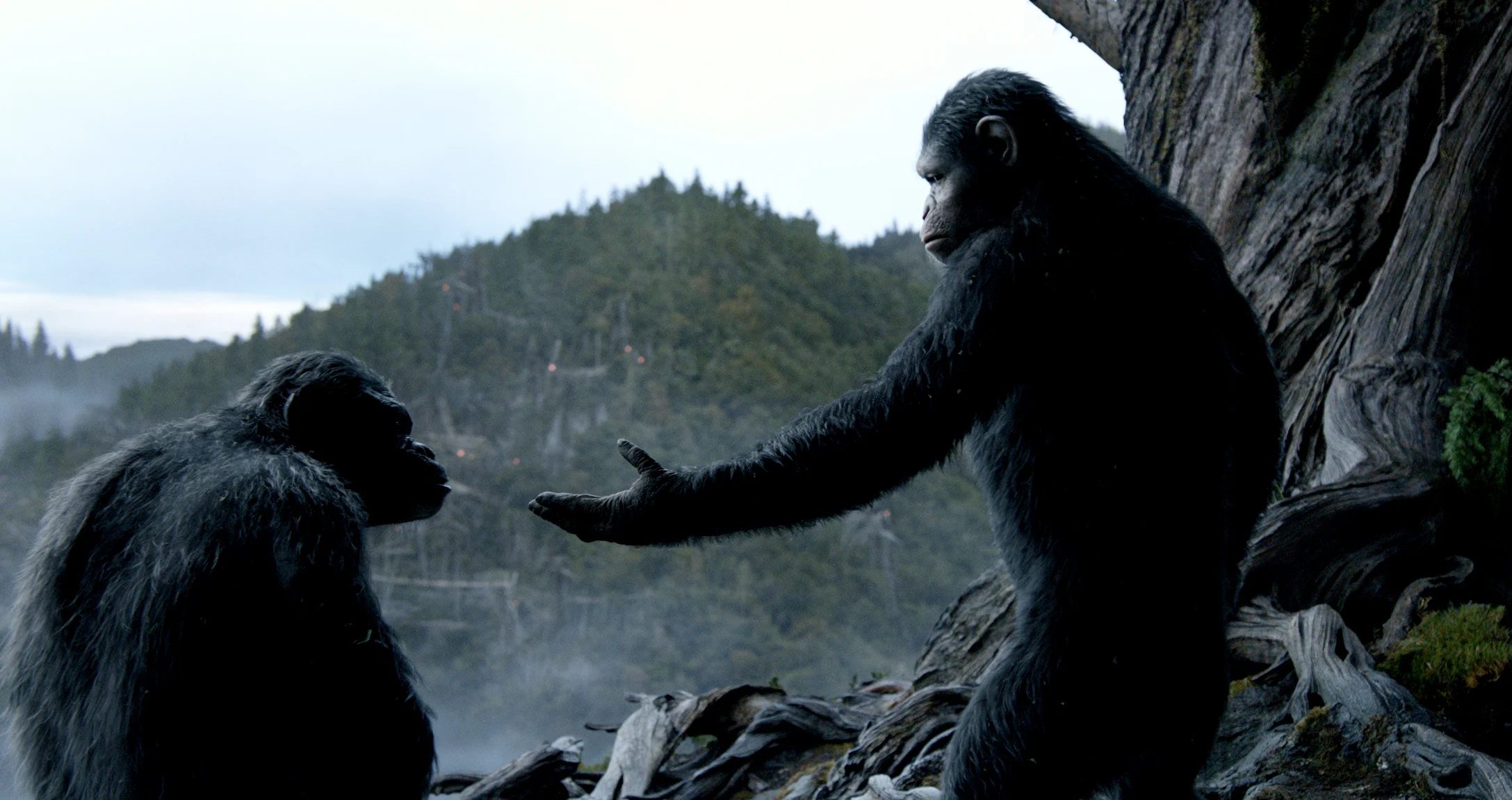 REVIEW: 'Dawn of the Planet of the Apes'
