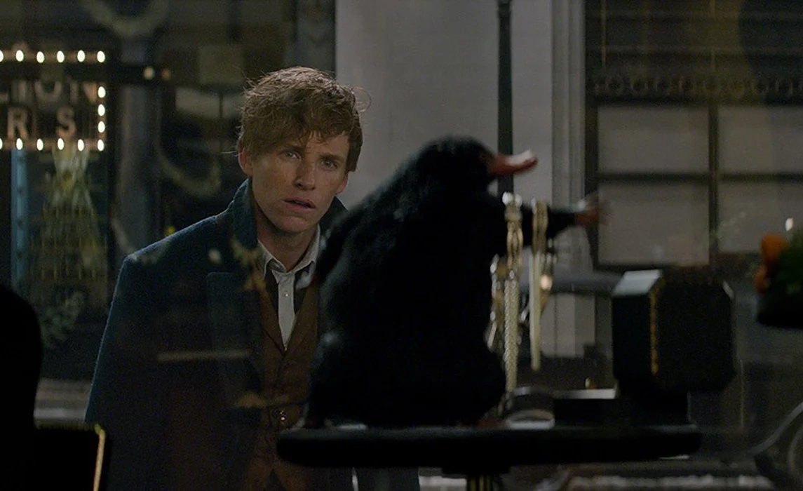 REVIEW: ‘Fantastic Beasts and Where to Find Them’, where enchantment becomes a product