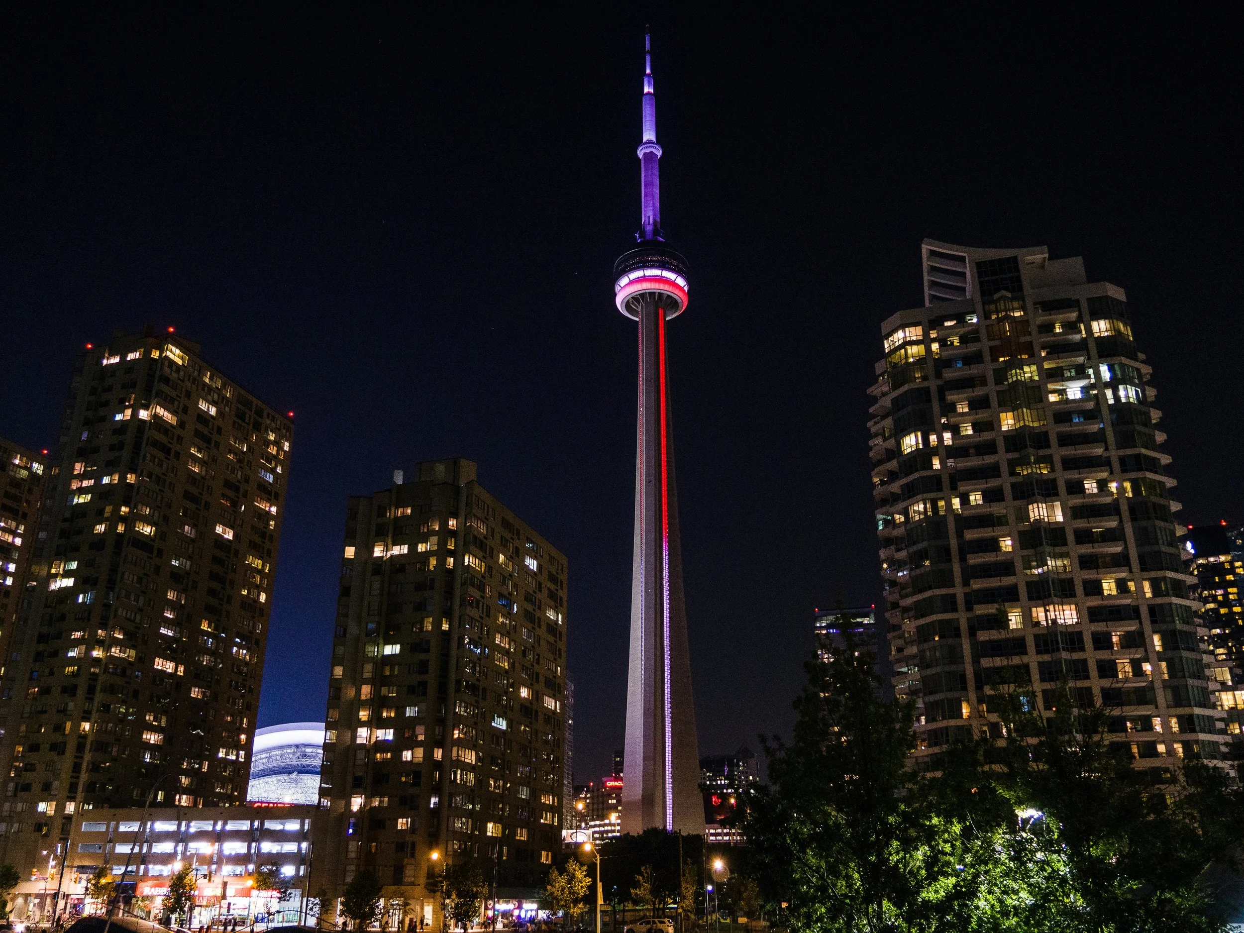 RECAP: Everything I Saw at the 2026 Toronto International Film Festival