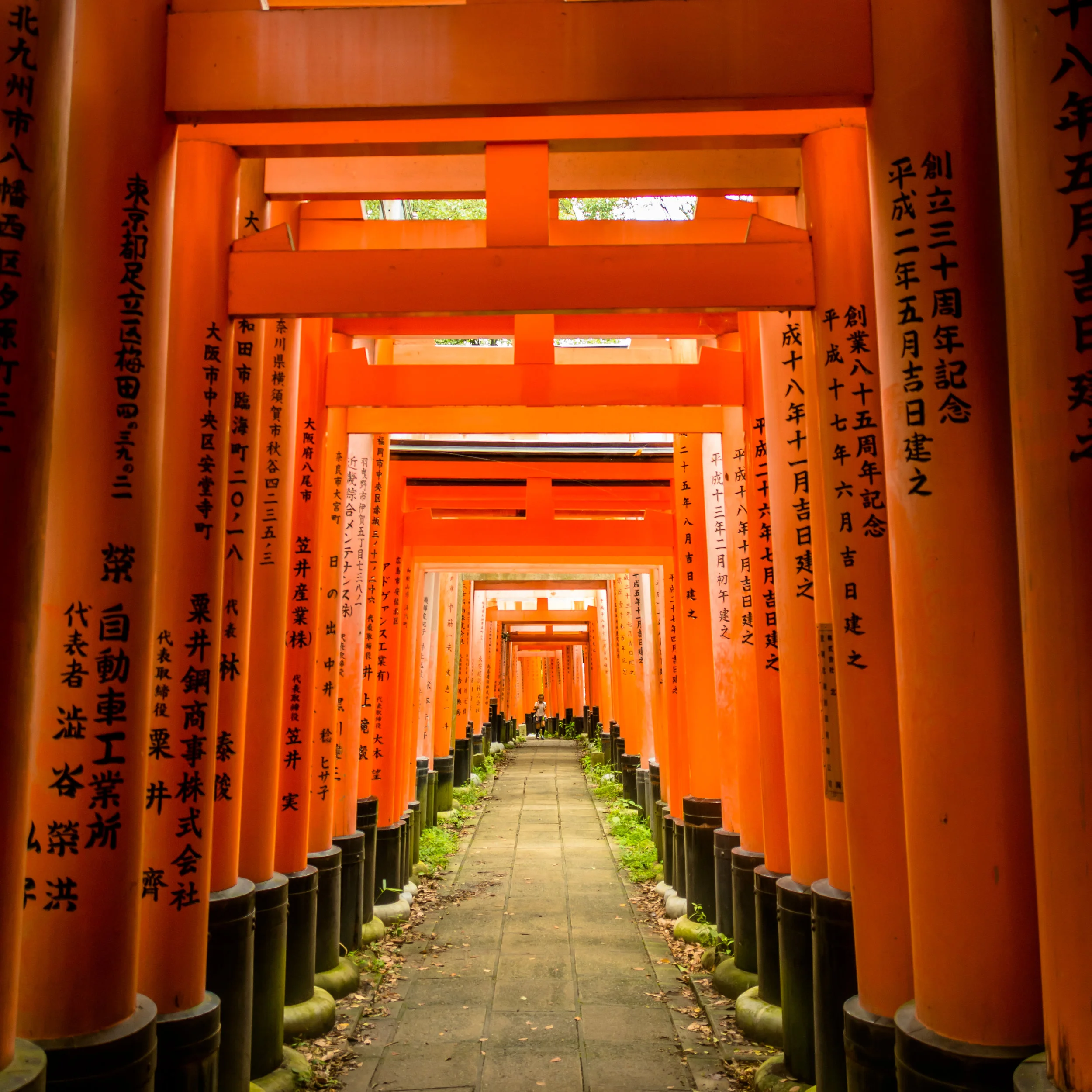Japan (2 of 2).jpg
