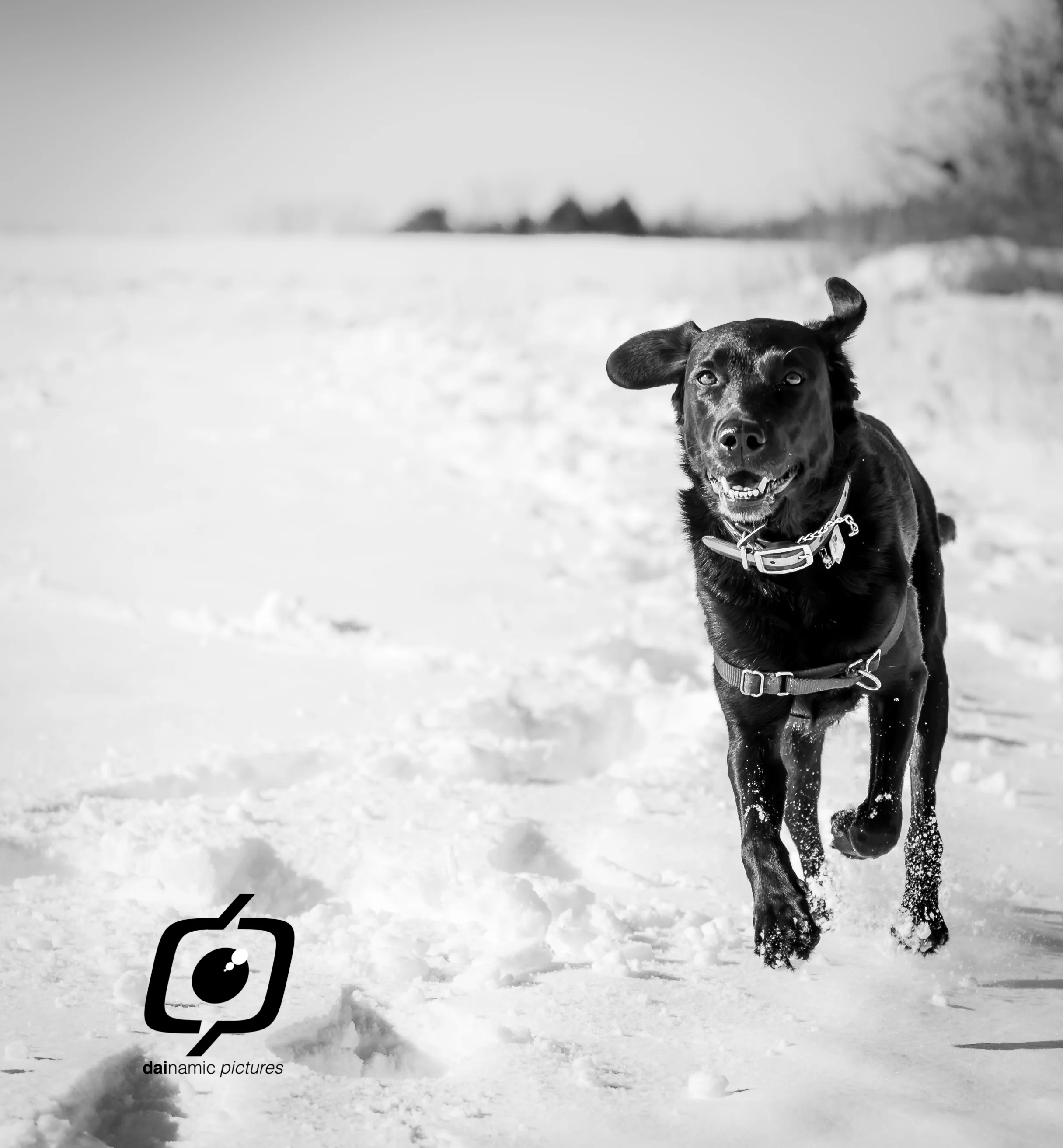 20161123-DSC_1389.jpg