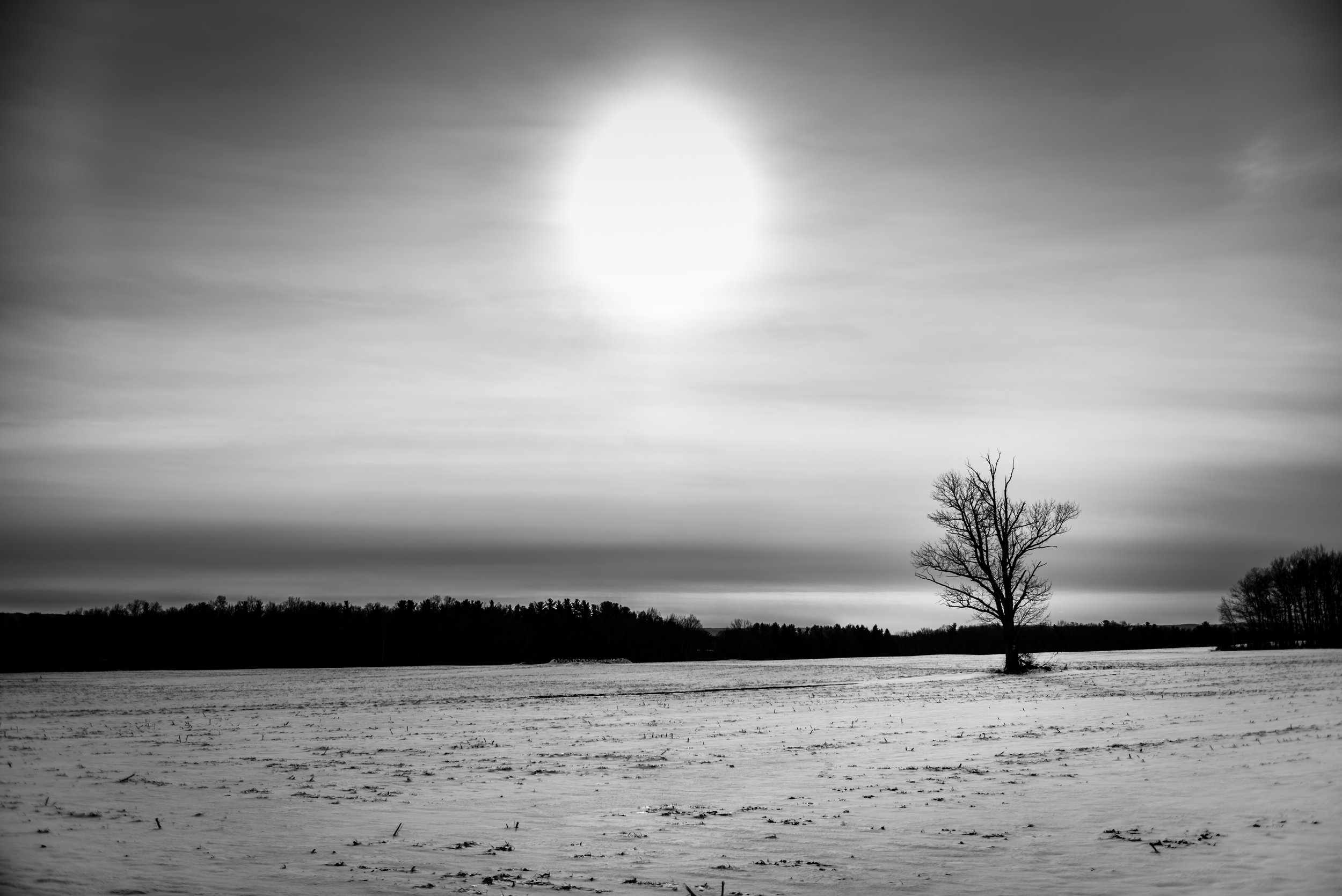 20161123-1.jpg