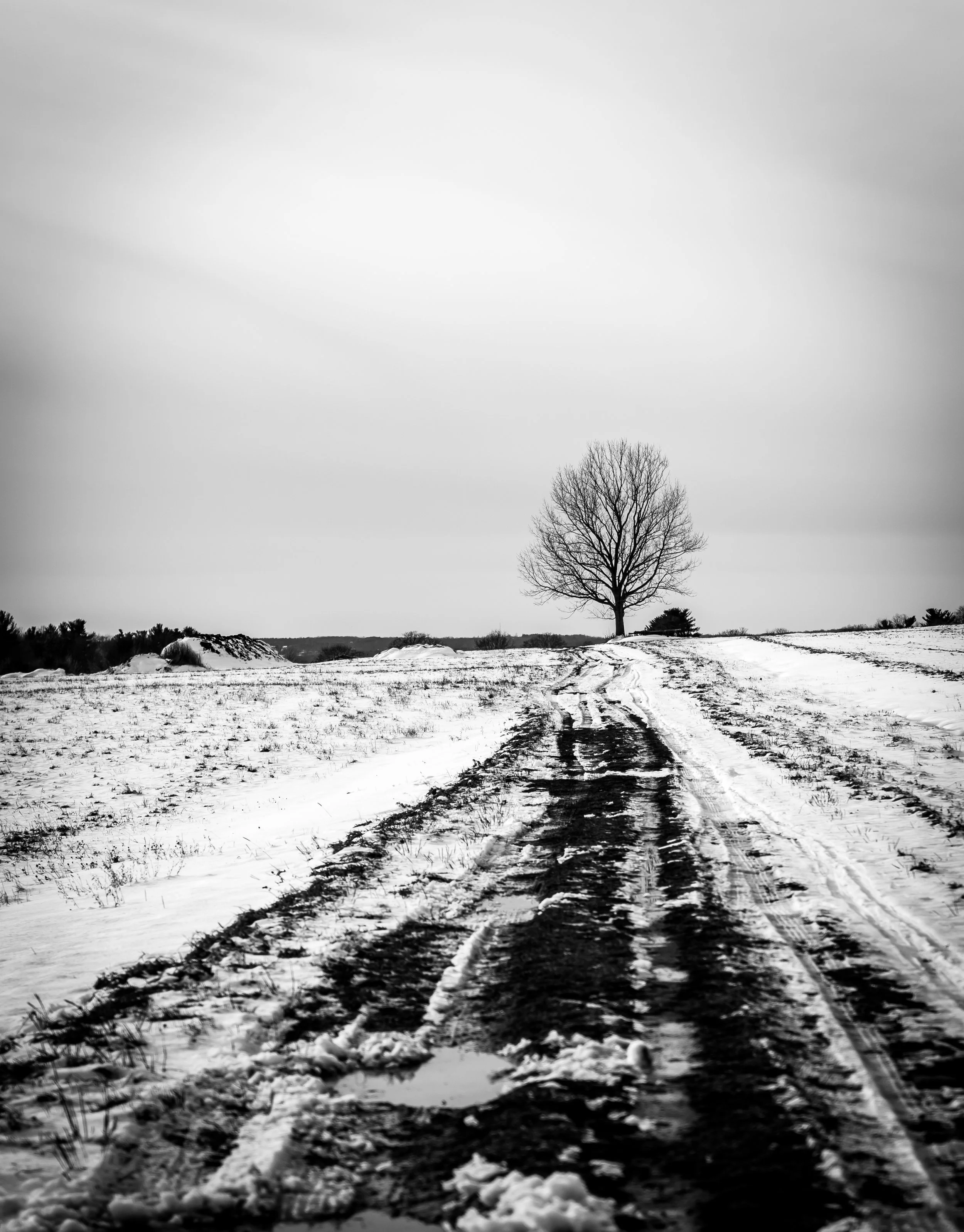 20161123-2.jpg