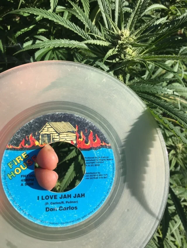 I Love Jah Jah by Don Carlos