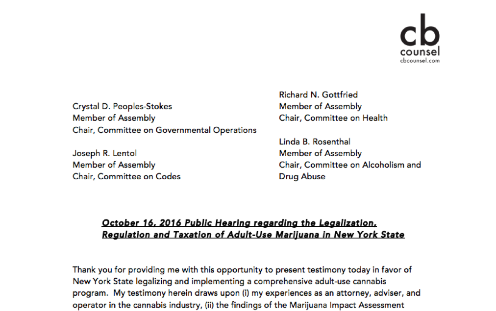 October 16 2018 NYS Testimony.png