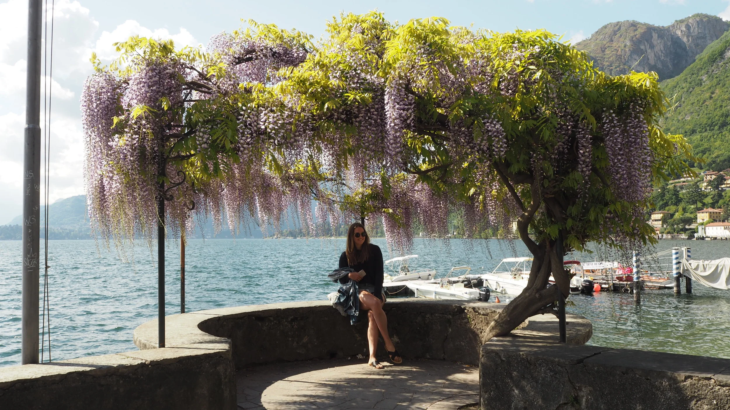 Menaggio in bloom