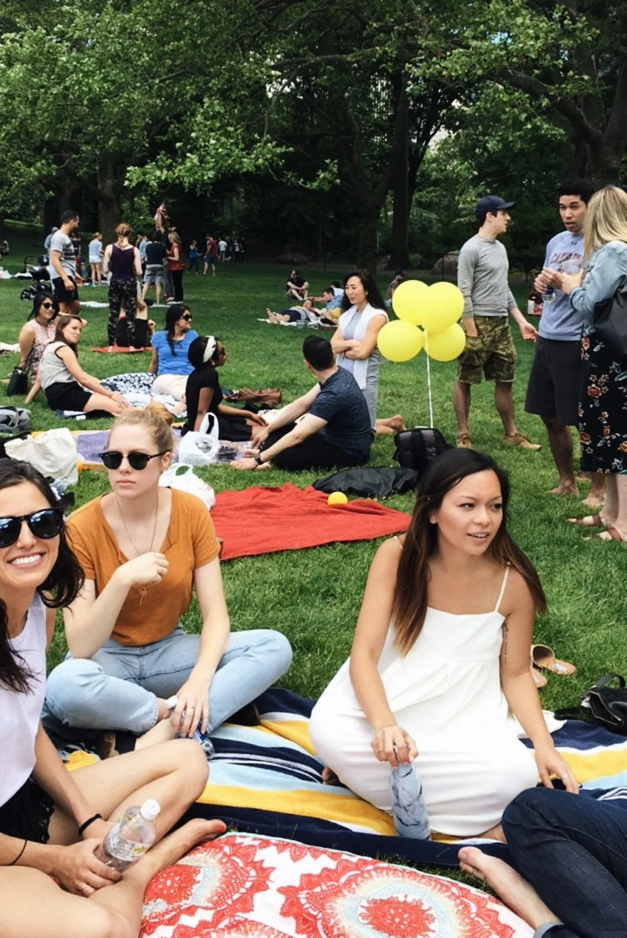 Meredith's church was having a get-together in Central Park. Pictured here is me blending in with the locals - which now includes me!