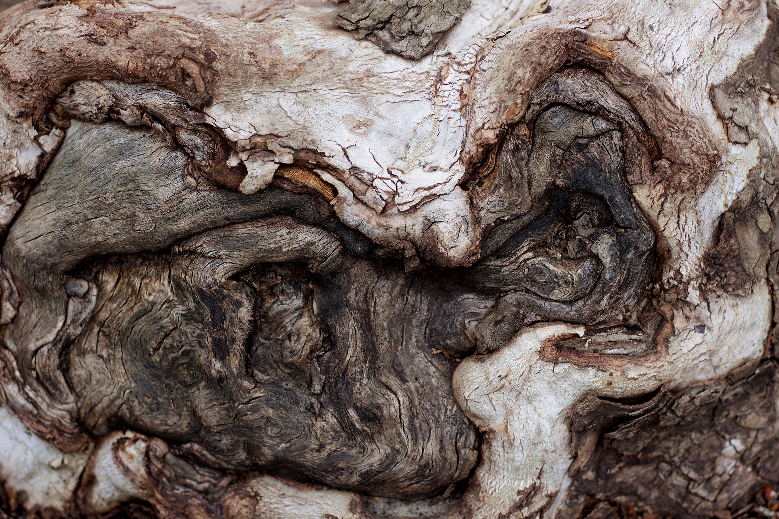 Meander Small File.jpg