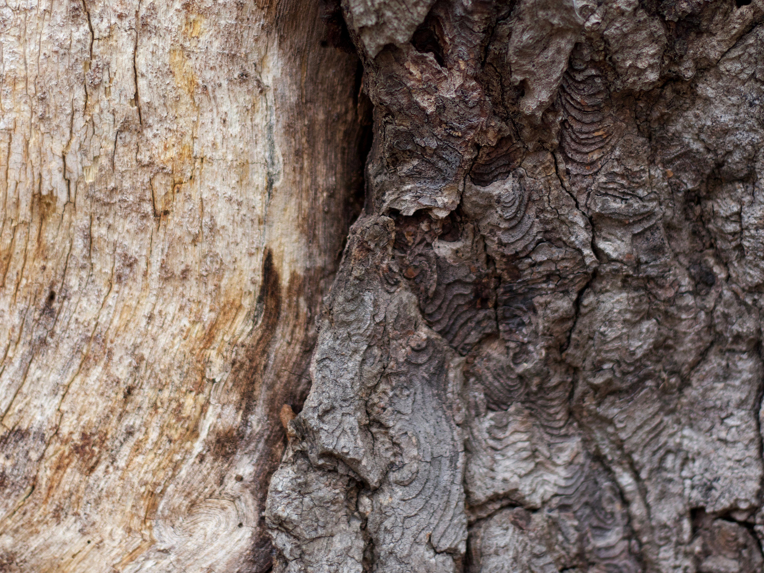 Unfurl