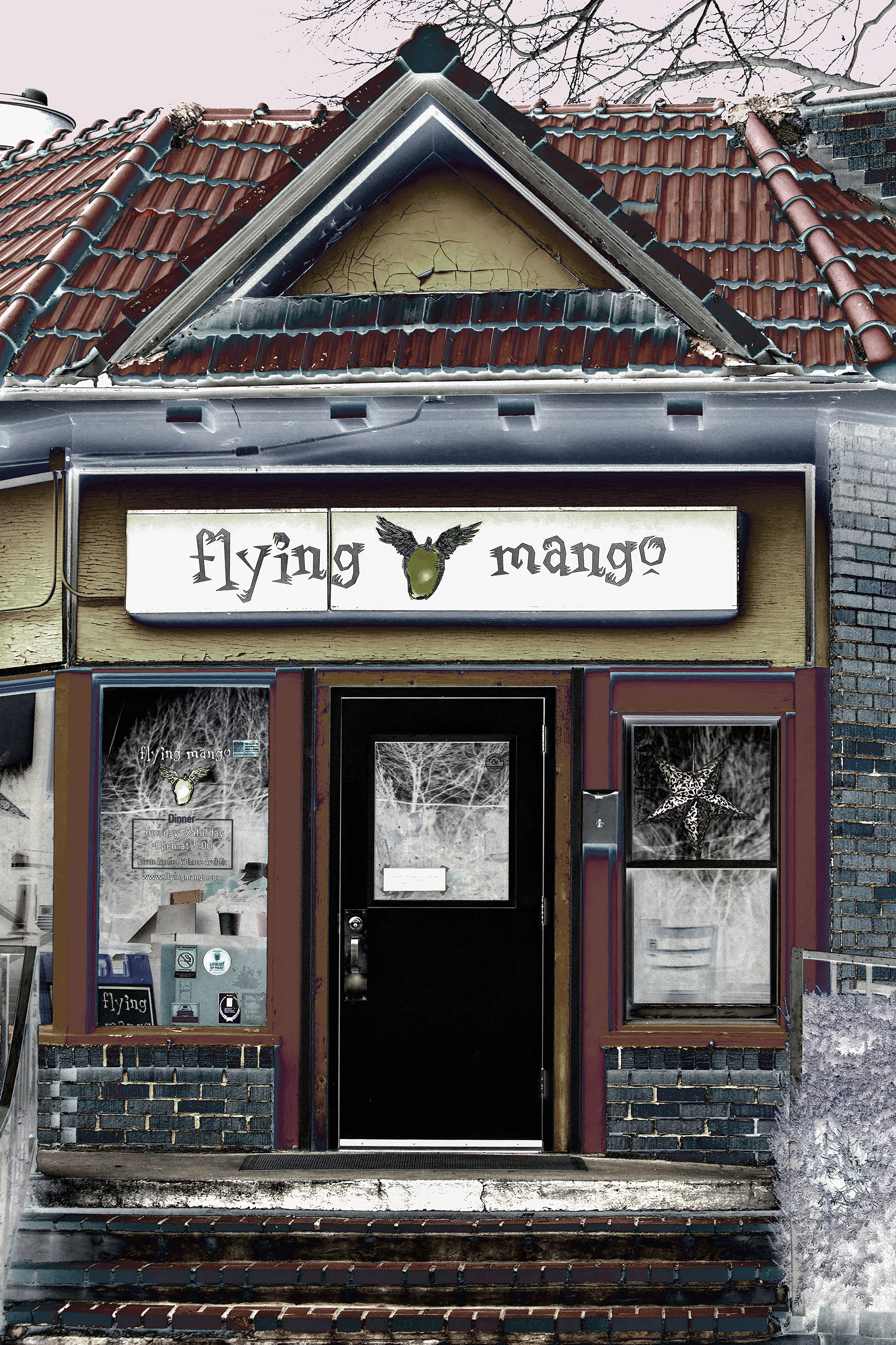 Flying Mango