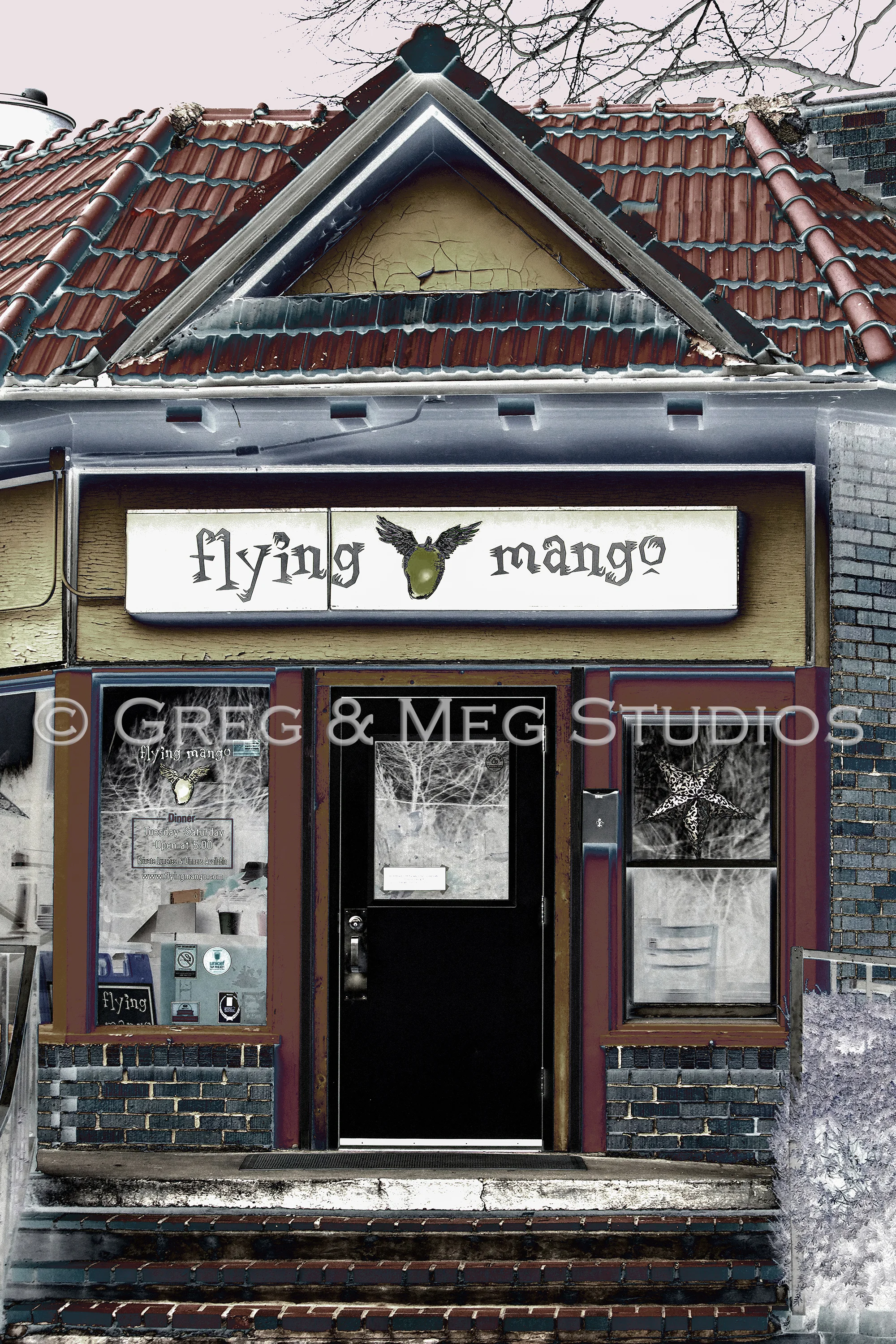 Small File Flying Mango WM.jpg