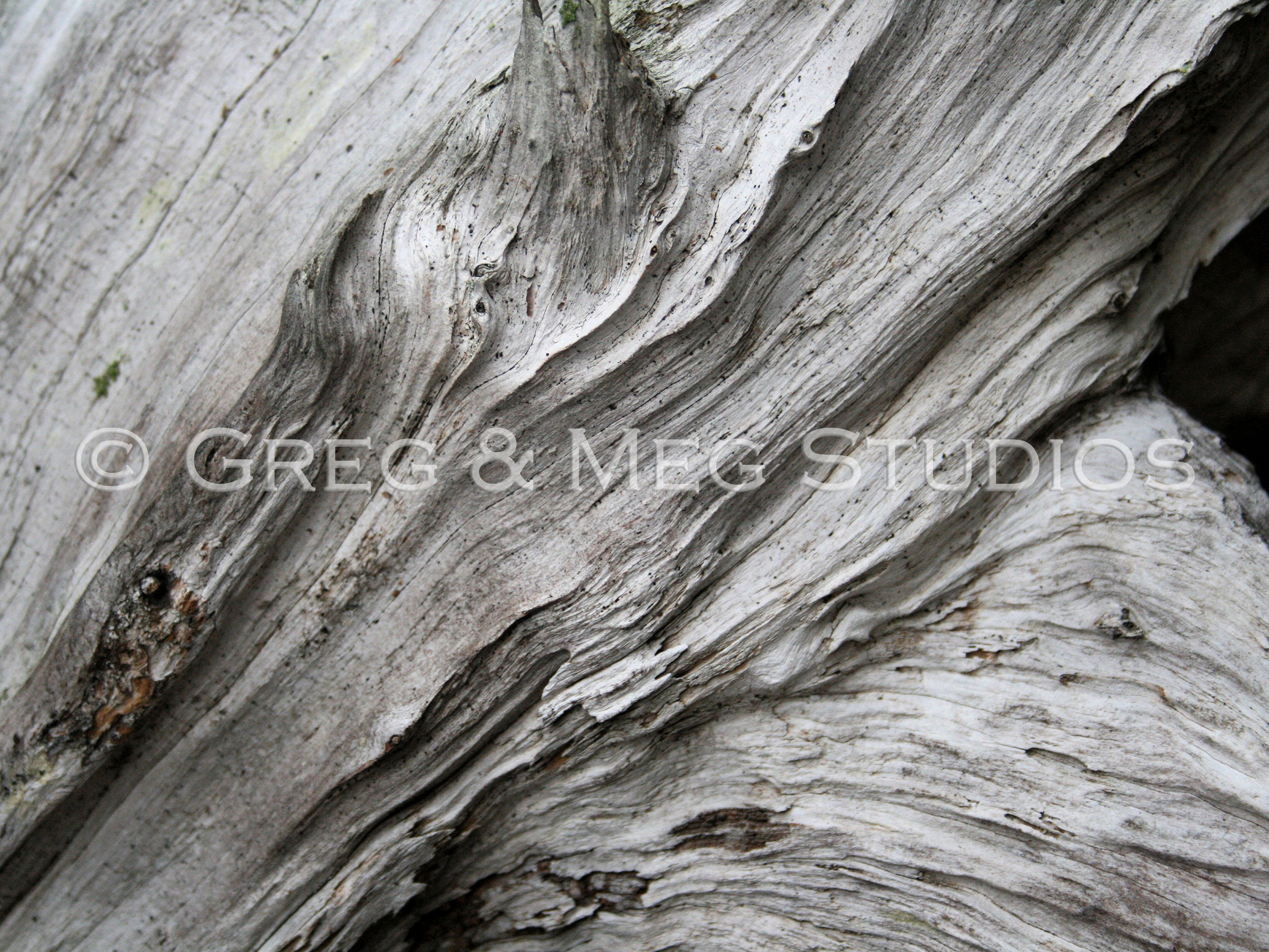 Transcend Small File WM.jpg