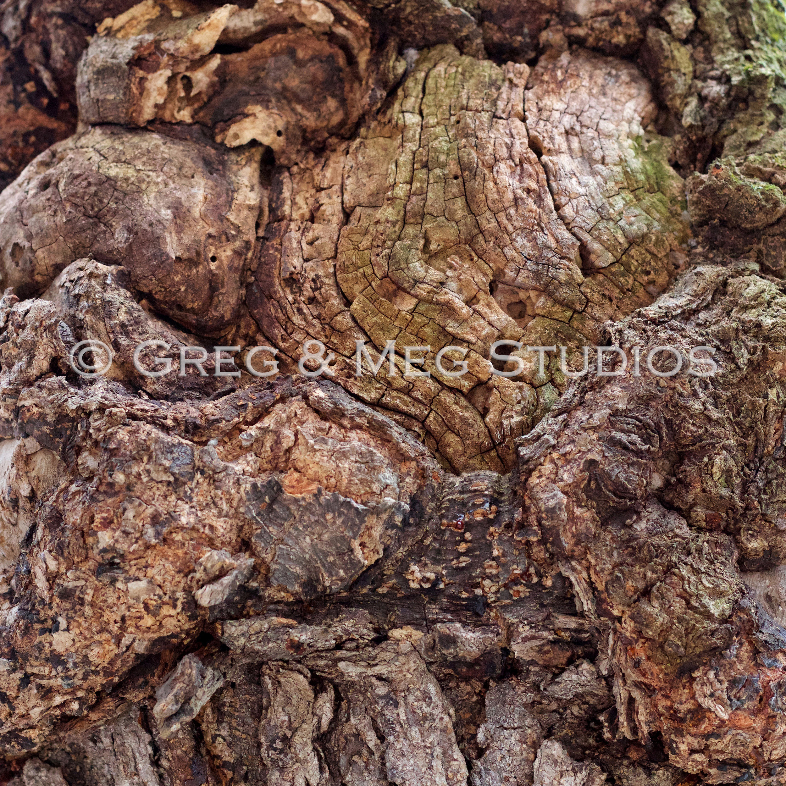 Blister Small File WM.jpg