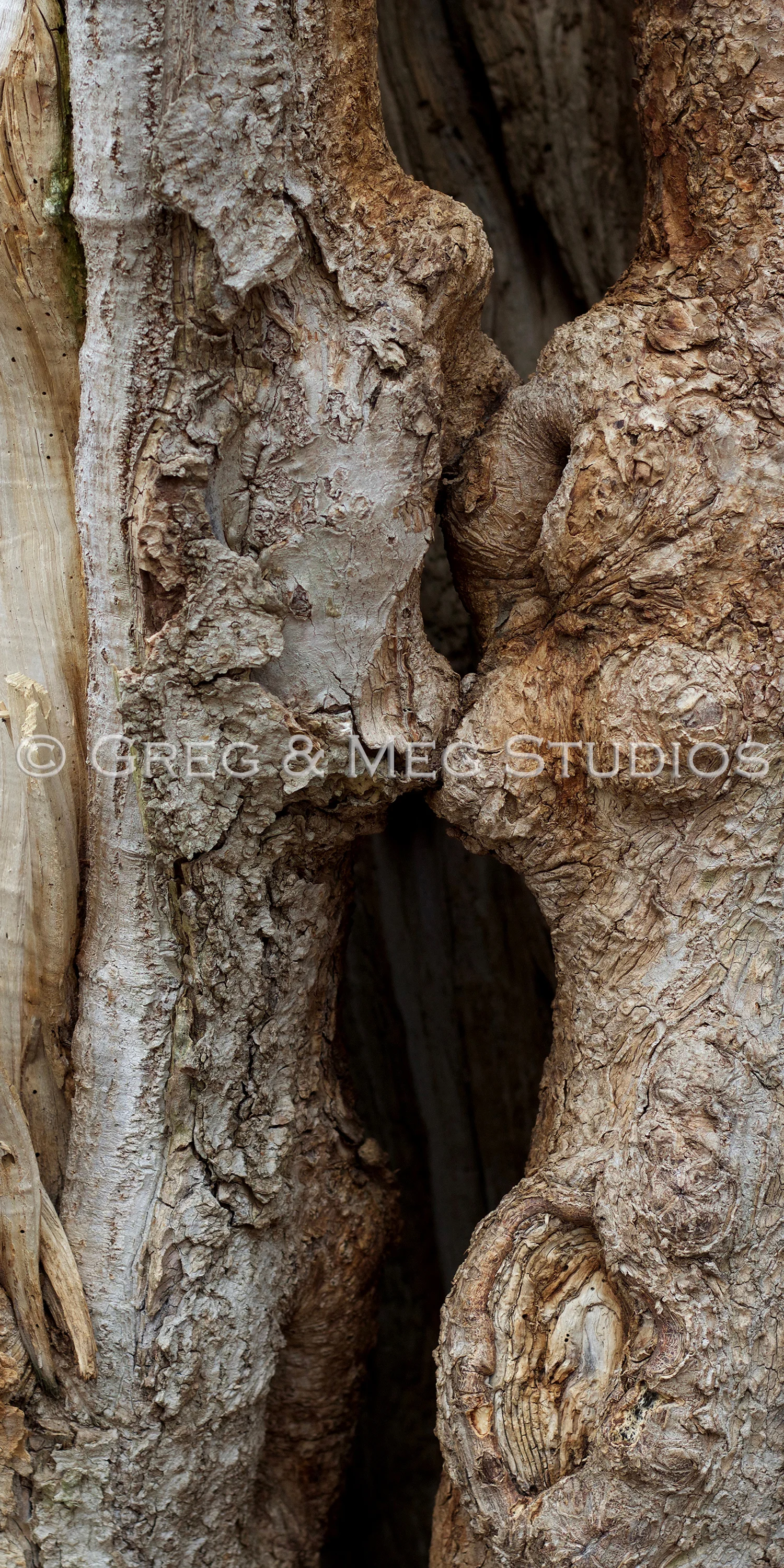 Consume Small File WM.jpg