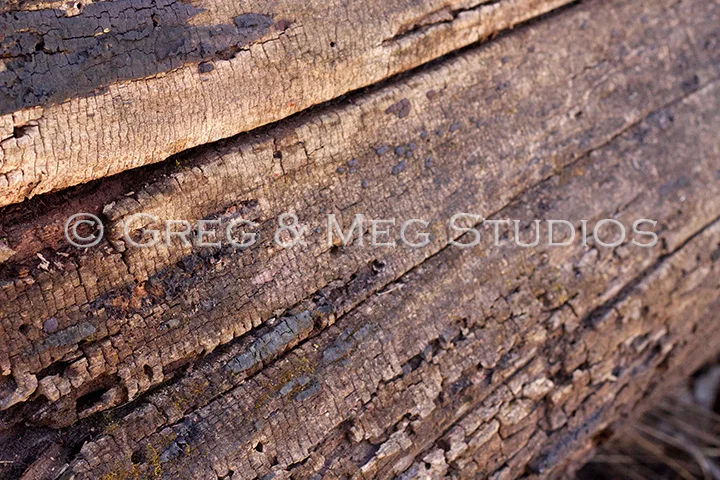 Scales Small File WM.jpg