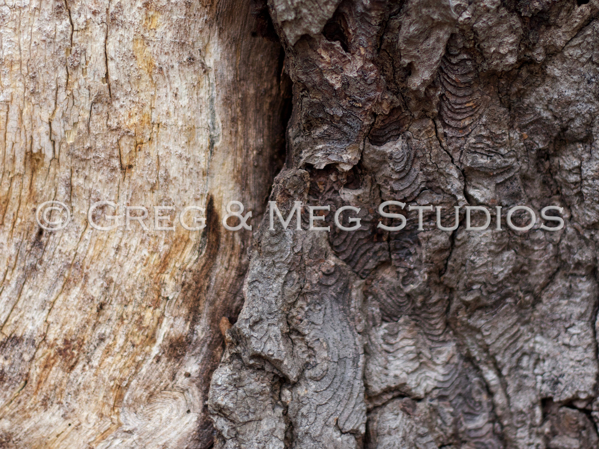 Unfurl Small File WM.jpg