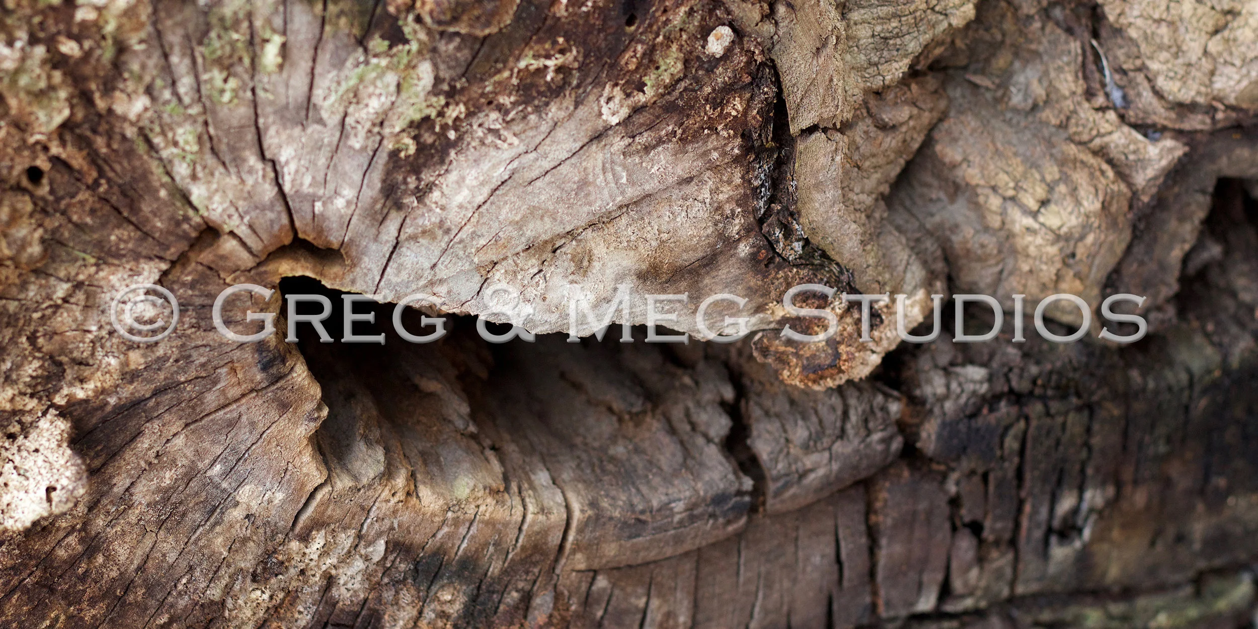 Corkscrew Small File WM.jpg