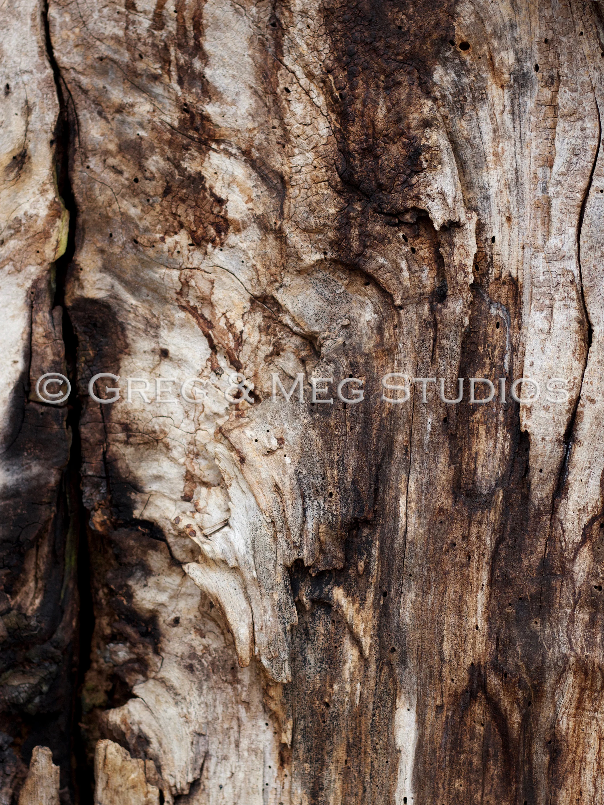 Weathered Small File WM.jpg