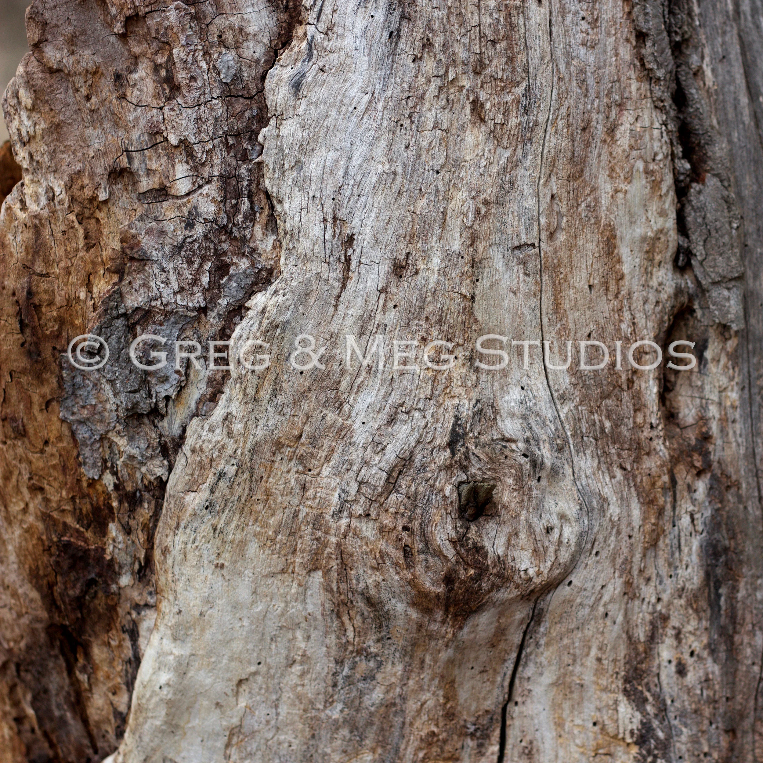 Tactile Small File WM.jpg