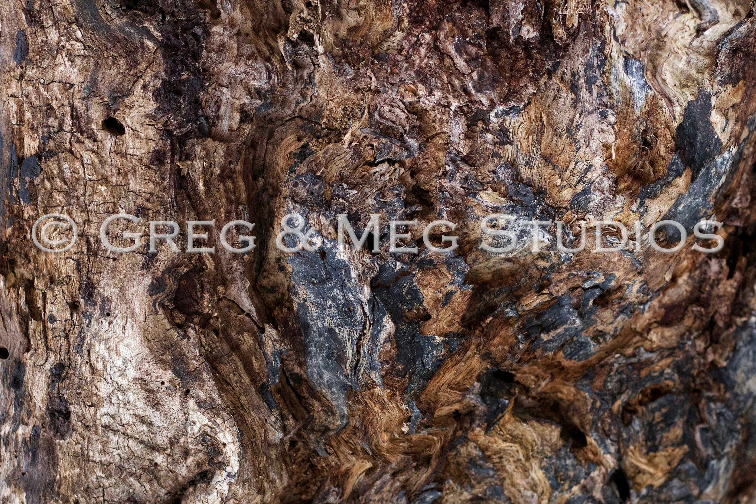 Flux Small File WM.jpg