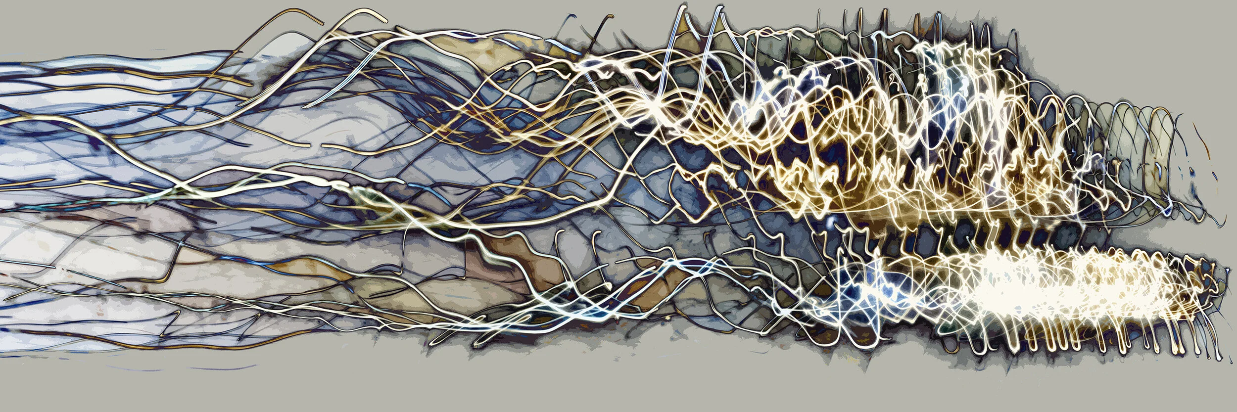 Elevate Small File.jpg