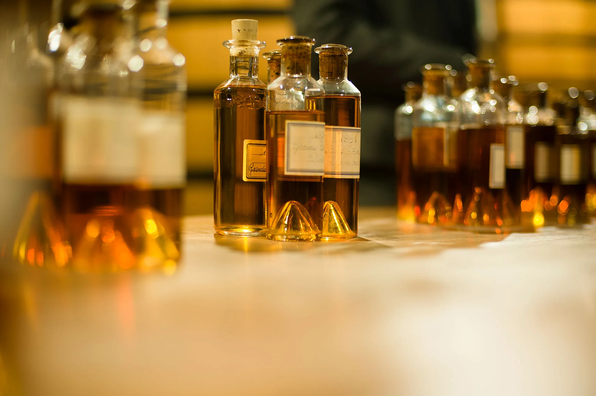 Cognac 2011
