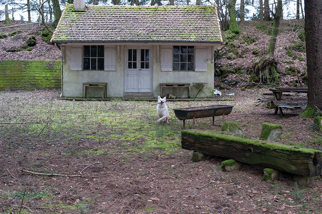 Morvan 2013