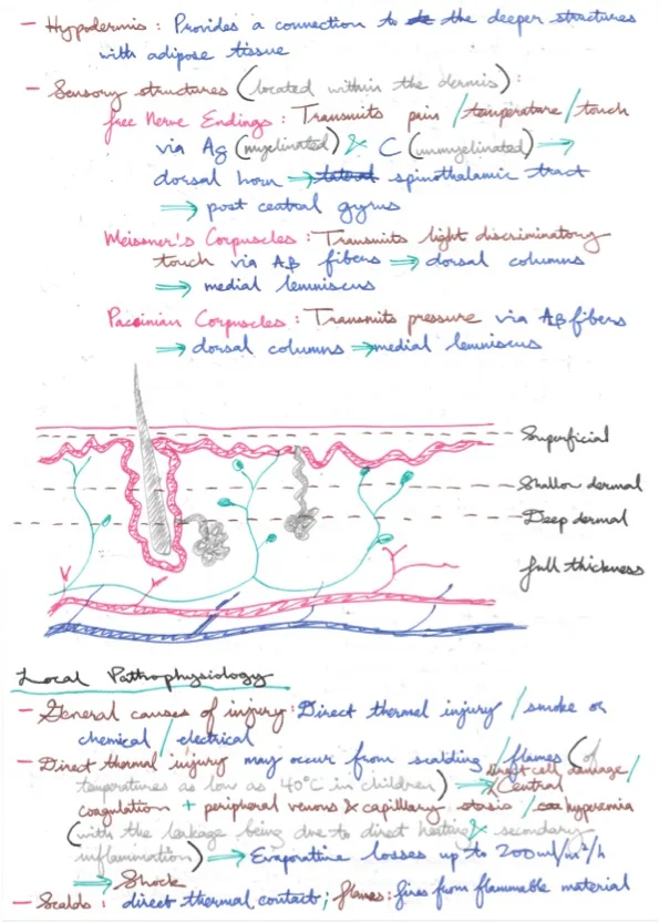 Amir's Anaesthesia Notes 21 3.jpeg
