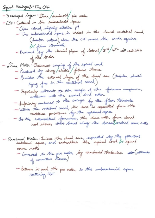 Amir's Anaesthesia Notes 8 33.jpeg