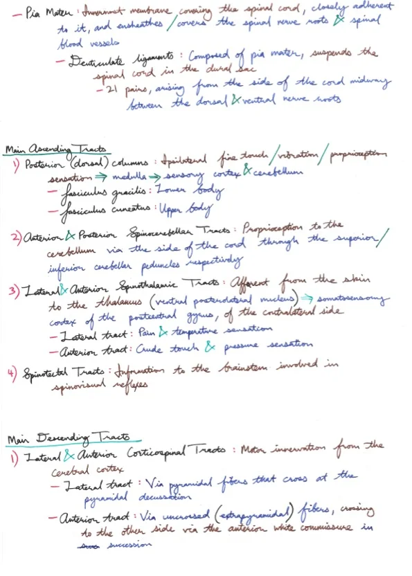 Amir's Anaesthesia Notes 8 34.jpeg