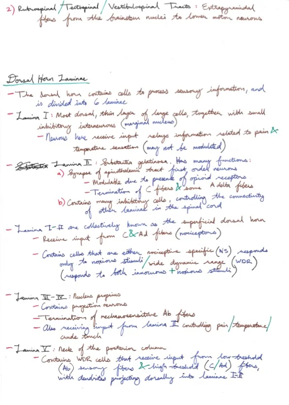 Amir's Anaesthesia Notes 8 35.jpeg