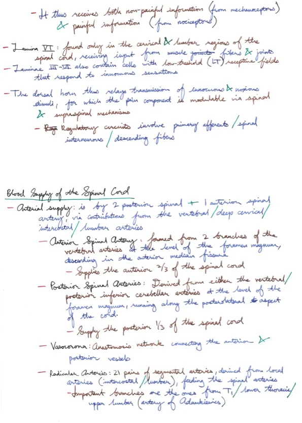 Amir's Anaesthesia Notes 8 36.jpeg