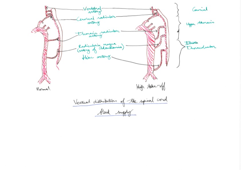 Amir's Anaesthesia Notes 8 30.jpeg