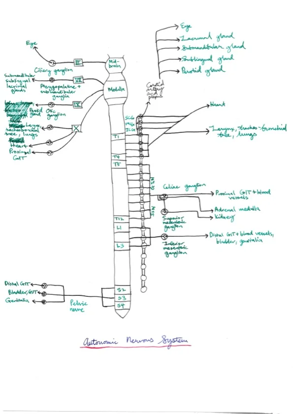 Amir's Anaesthesia Notes 8 44.jpeg