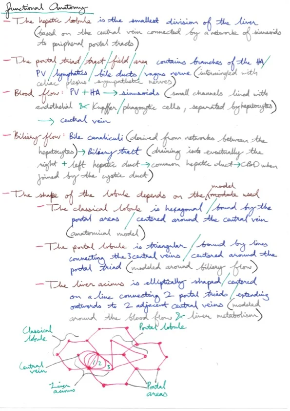 Amir's Anaesthesia Notes 19 2.jpeg