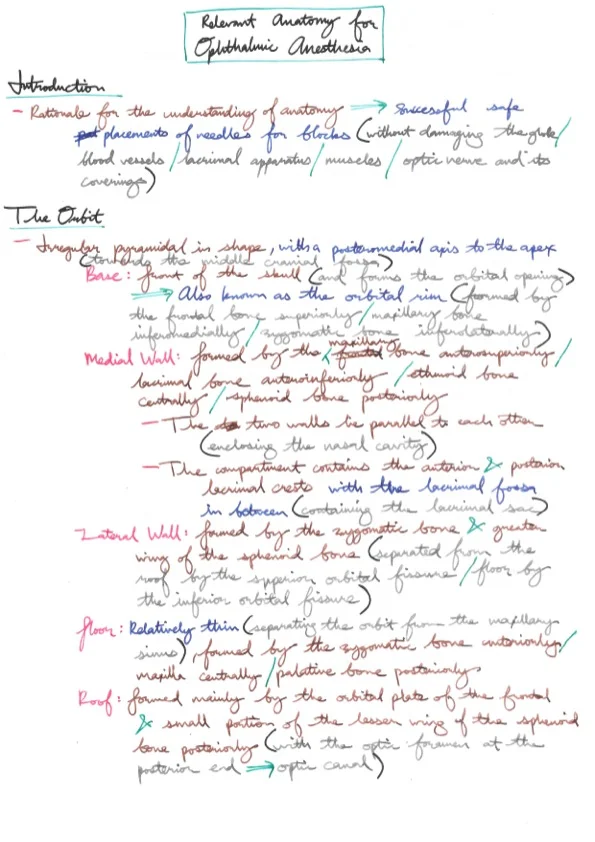Relevant Anatomy for Ophthalmic Anaesthesia.jpeg