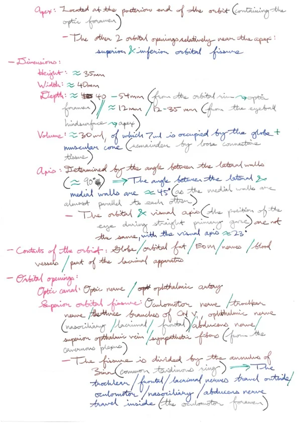Relevant Anatomy for Ophthalmic Anaesthesia 2.jpeg