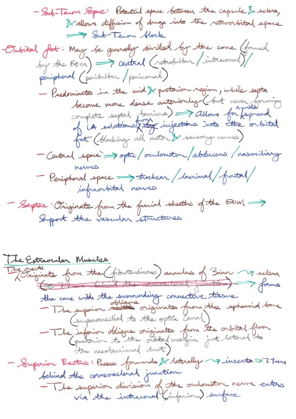 Relevant Anatomy for Ophthalmic Anaesthesia 5.jpeg