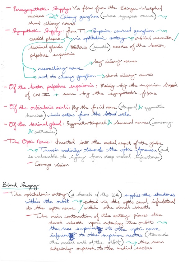Relevant Anatomy for Ophthalmic Anaesthesia 8.jpeg