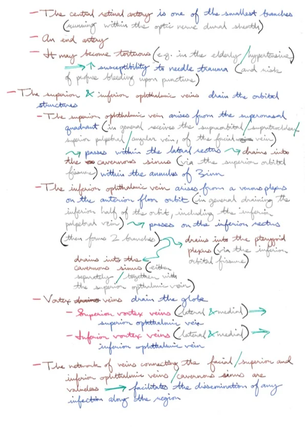 Relevant Anatomy for Ophthalmic Anaesthesia 9.jpeg