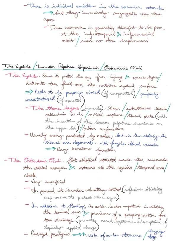 Relevant Anatomy for Ophthalmic Anaesthesia 10.jpeg