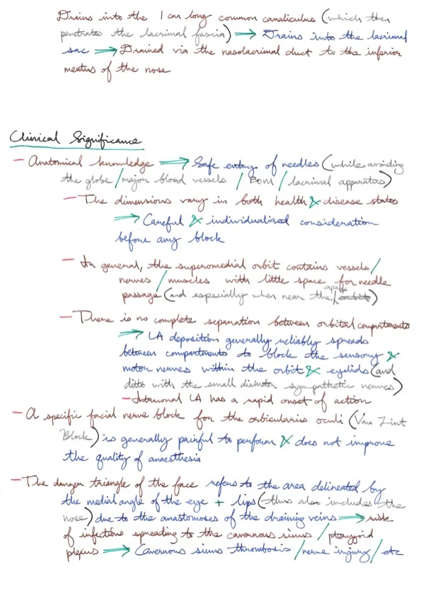 Relevant Anatomy for Ophthalmic Anaesthesia 12.jpeg