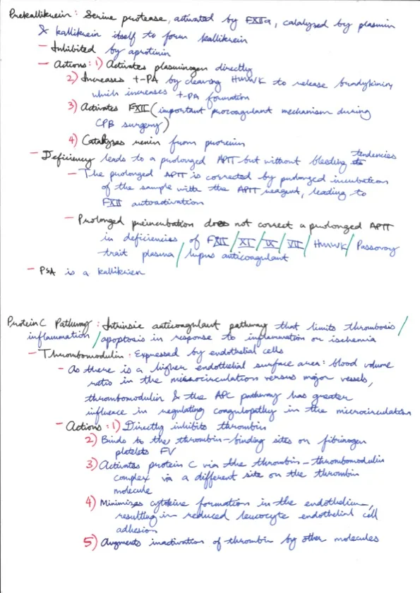 Hemostasis 12.jpeg