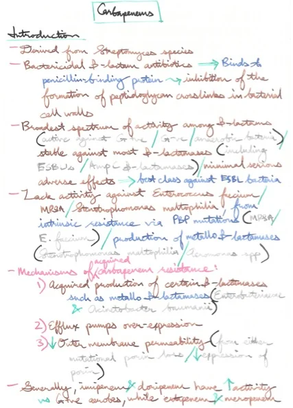 Carbapenems.jpeg