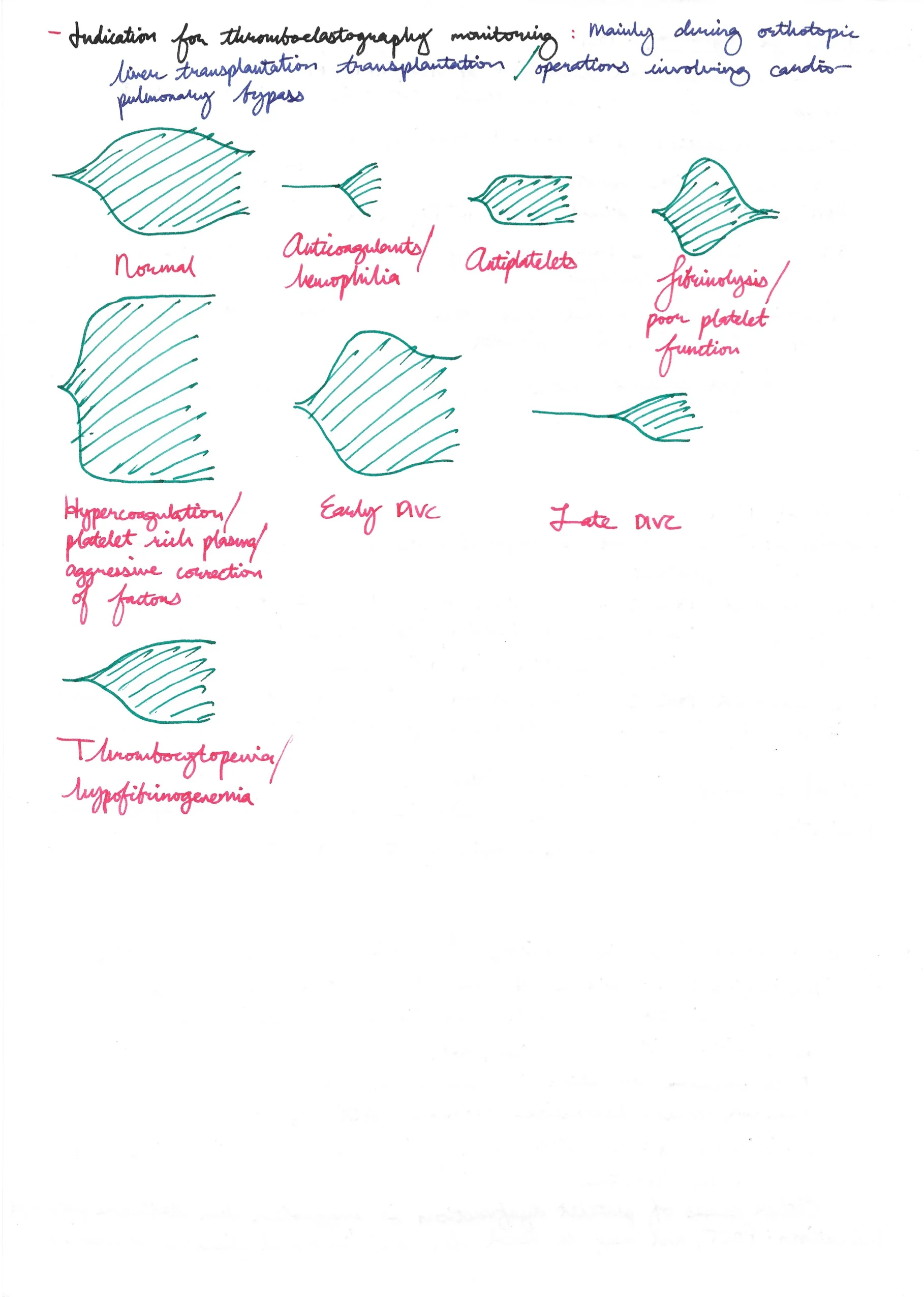 Coagulation Studies 9.jpeg