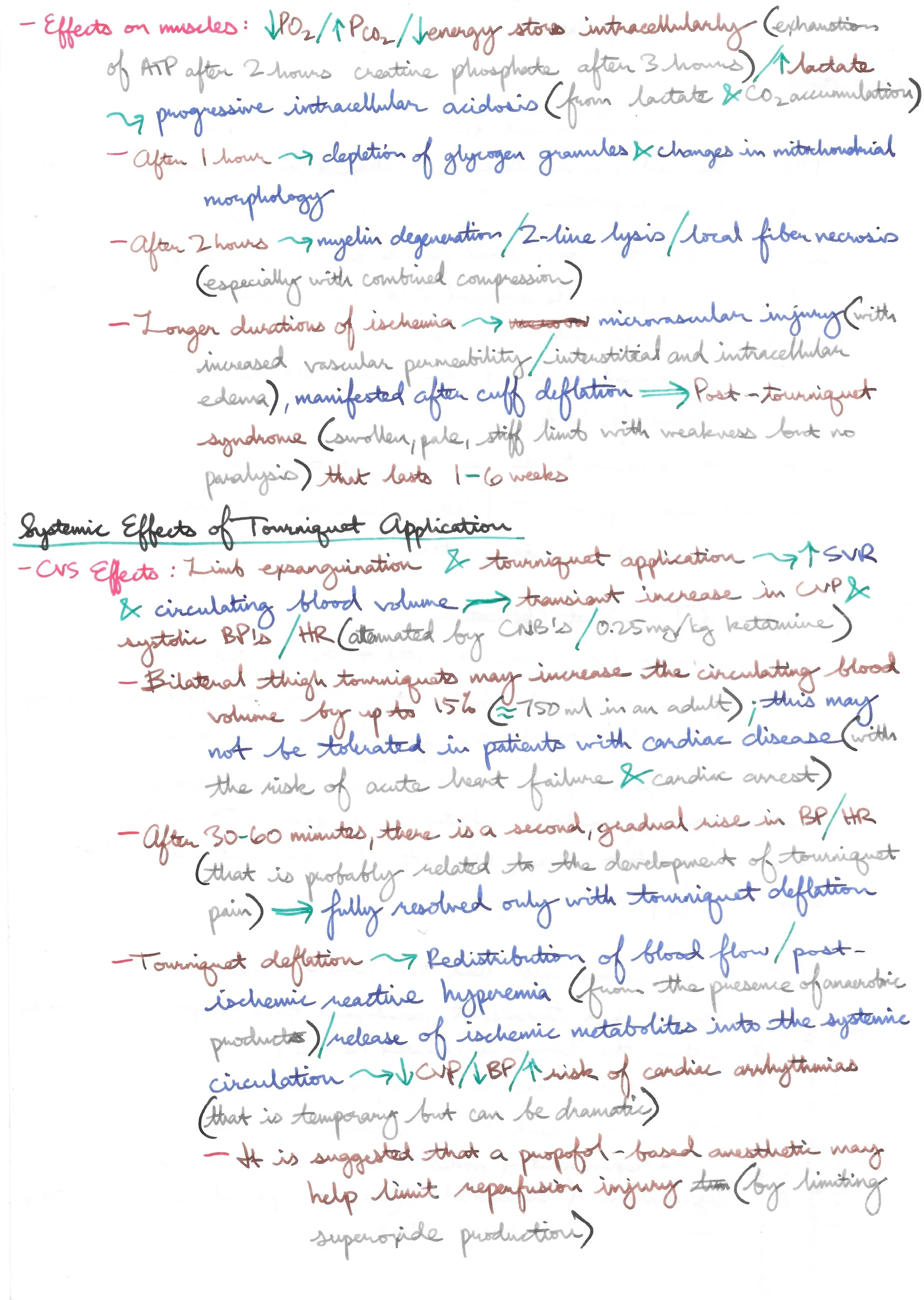 Arterial Tourniquets 2.jpeg