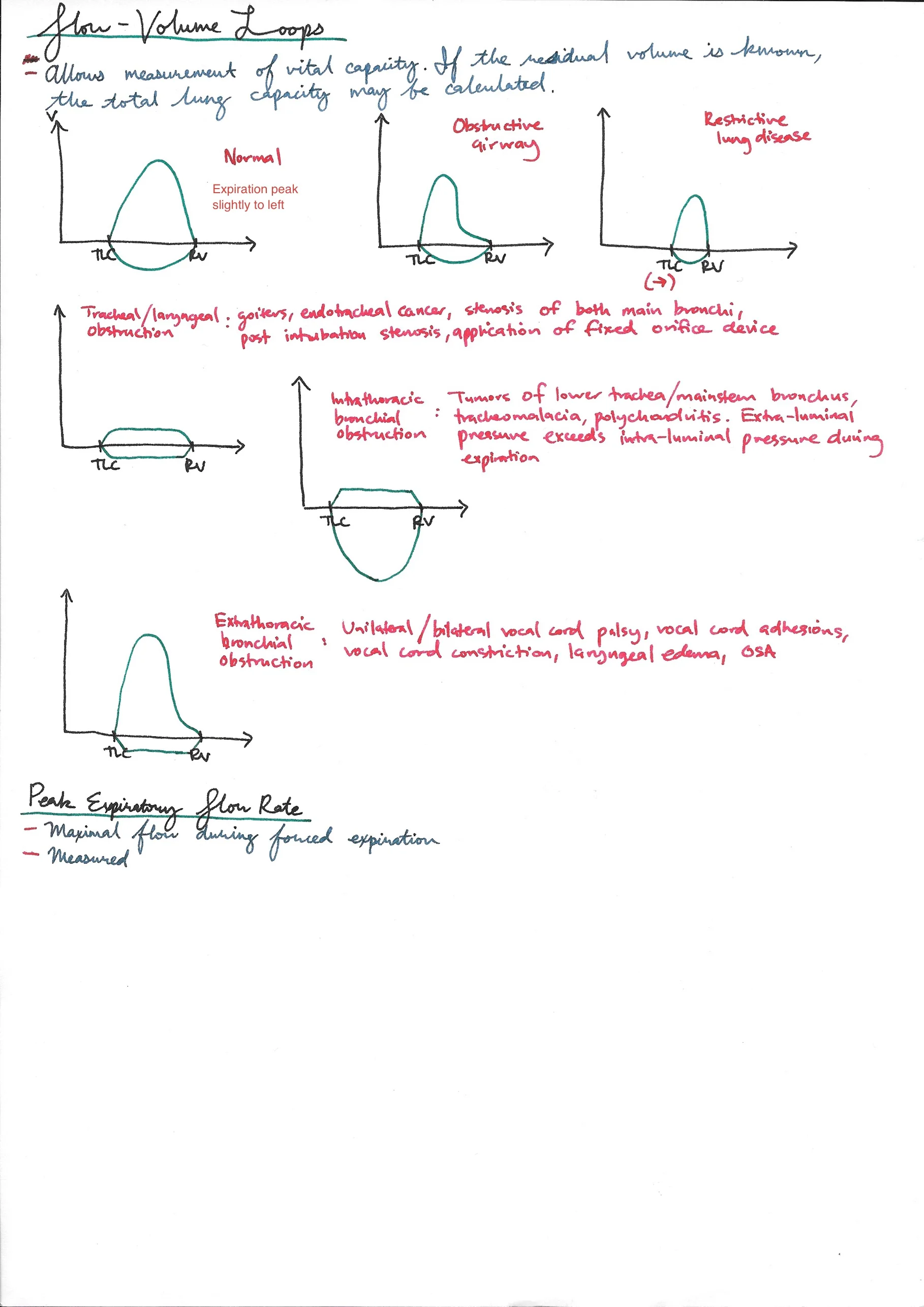 Lung Function Tests 8.jpeg