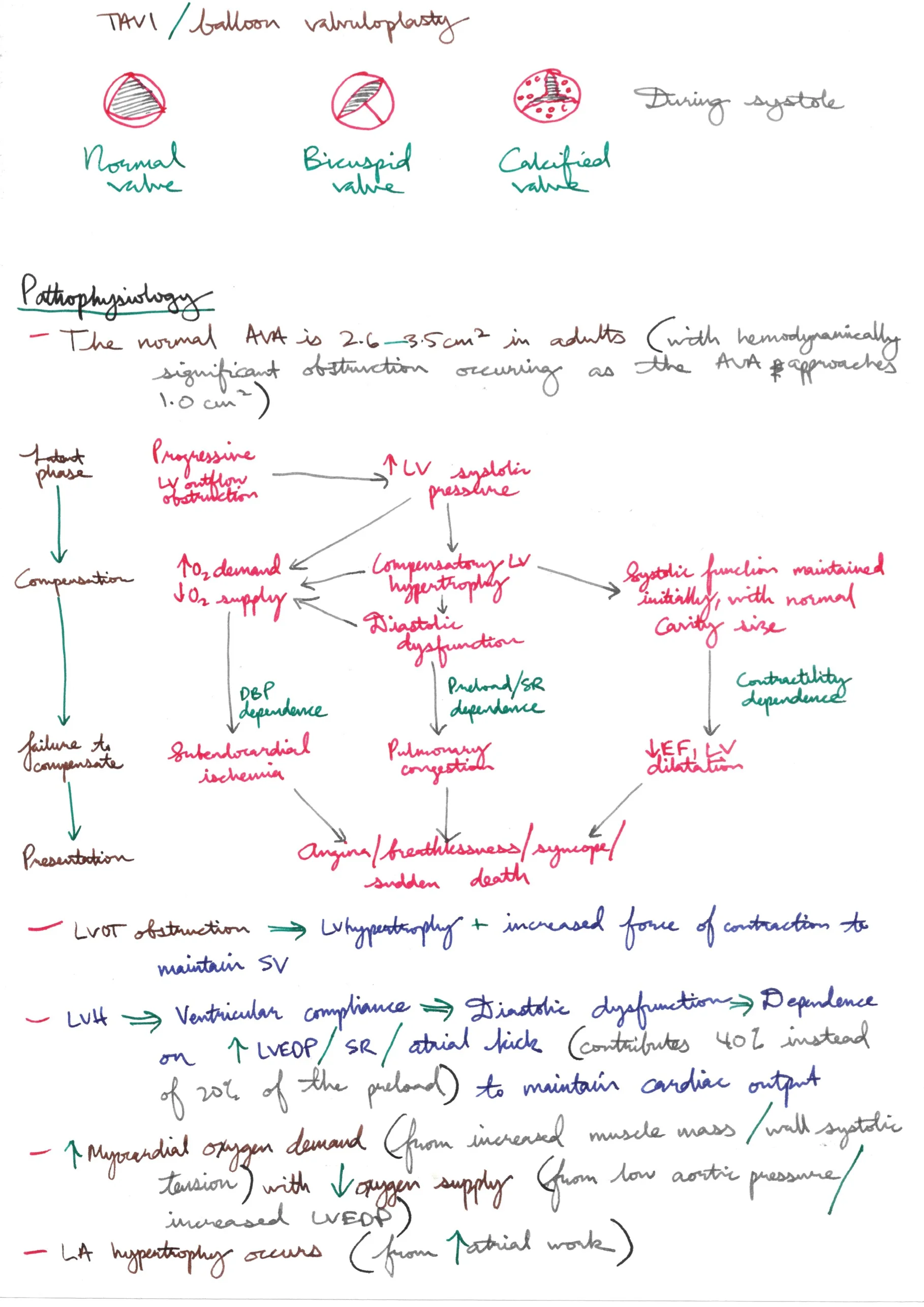Aortic Stenosis and Non-Cardiac Surgery 2.jpeg