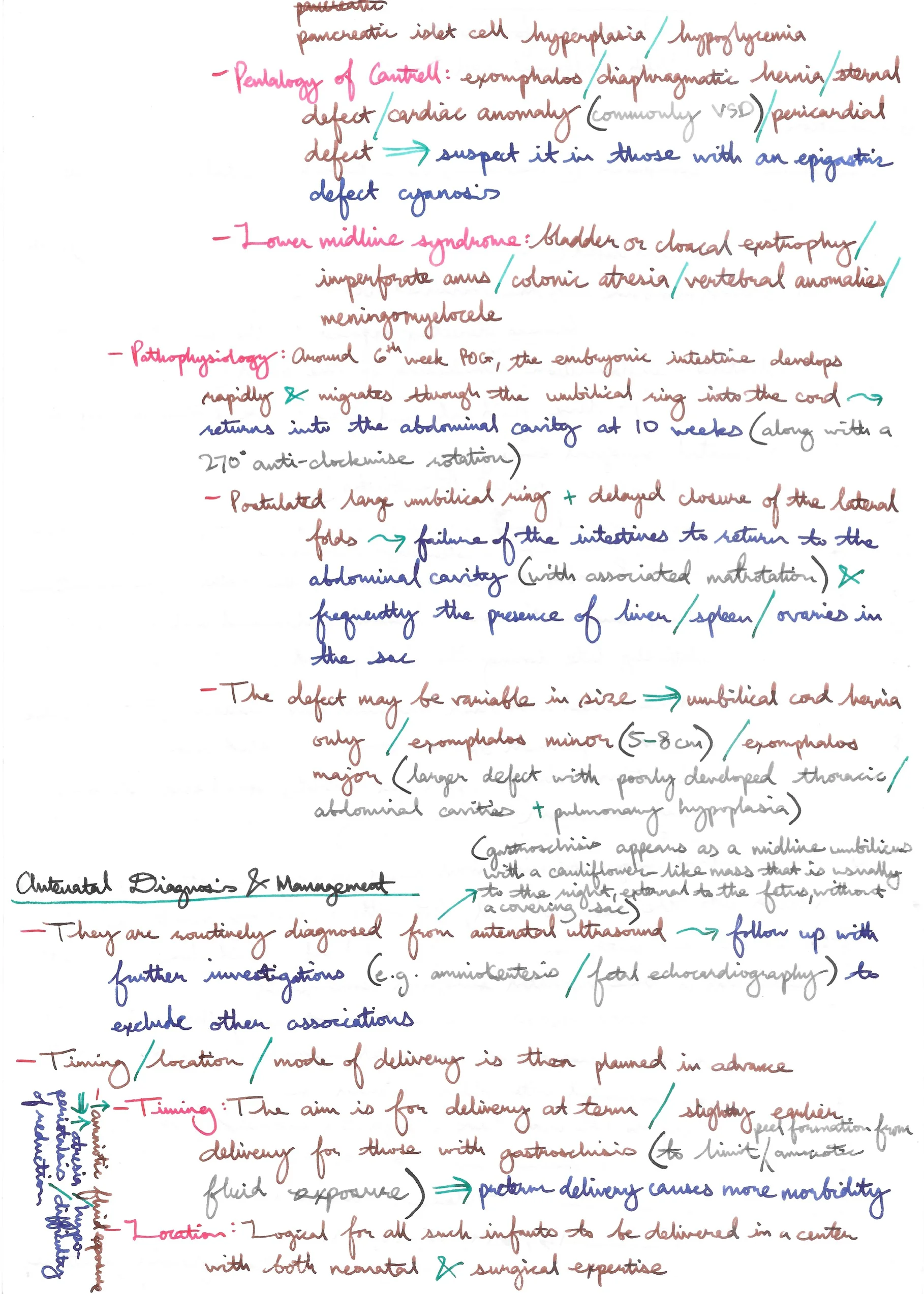 Anesthesia for Neonates with Abdominal Wall Defects 2.jpeg