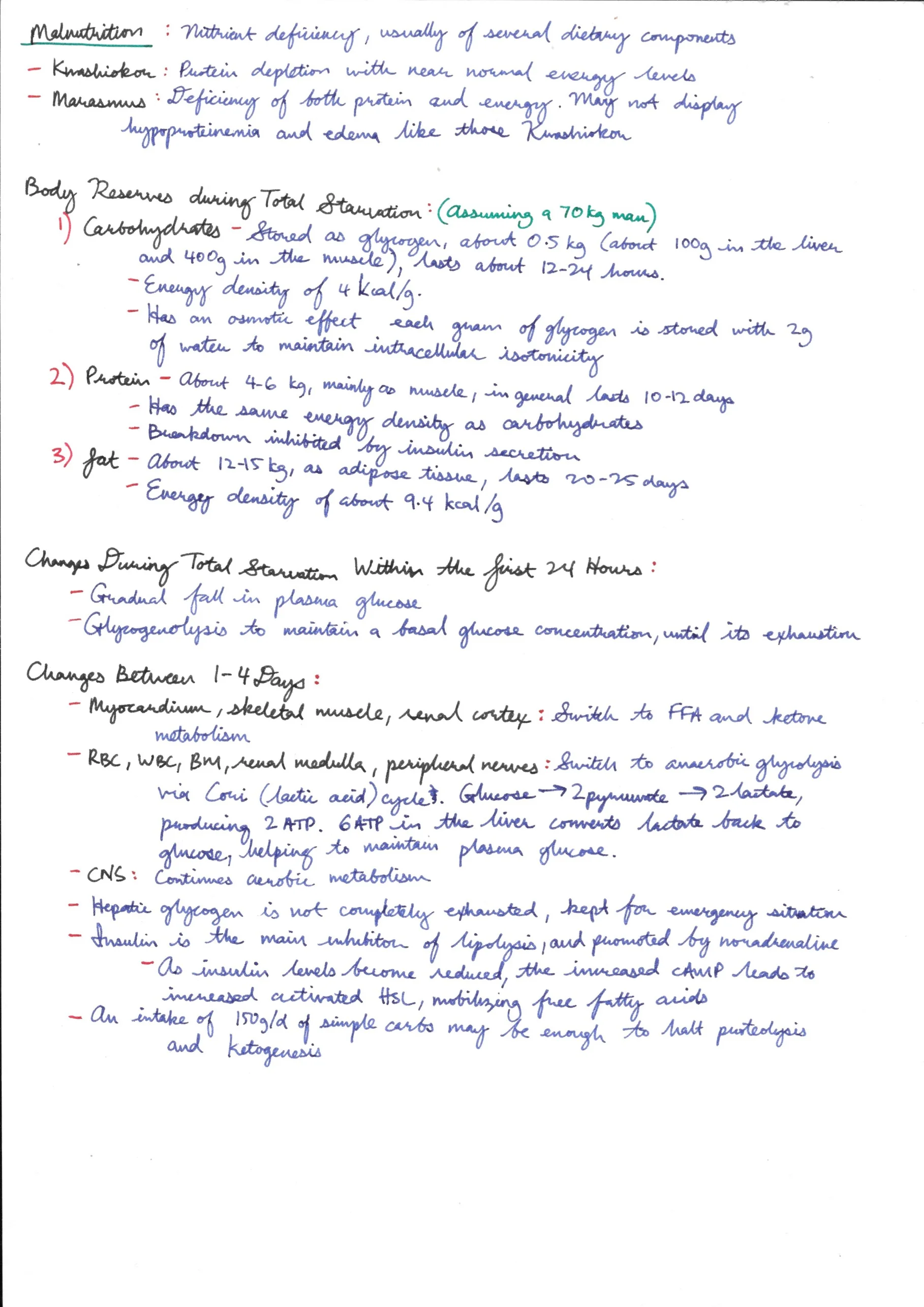 Fasting, Starvation, Anorexia Nervosa (Relevant Physiology Only) 2.jpeg